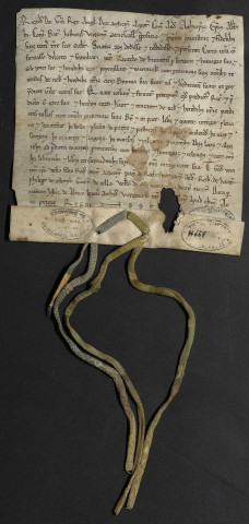 King John’s Right Hand Lady: The Story of Nicholaa de la Haye